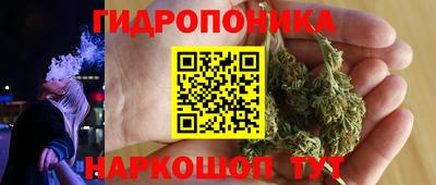 spice Дубна