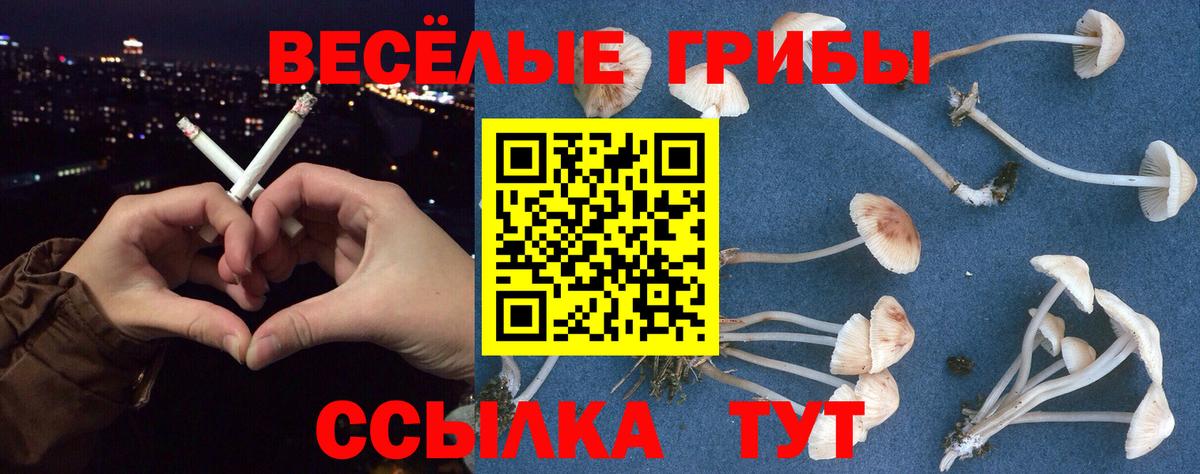 Галлюциногенные грибы прущие грибы Люберцы