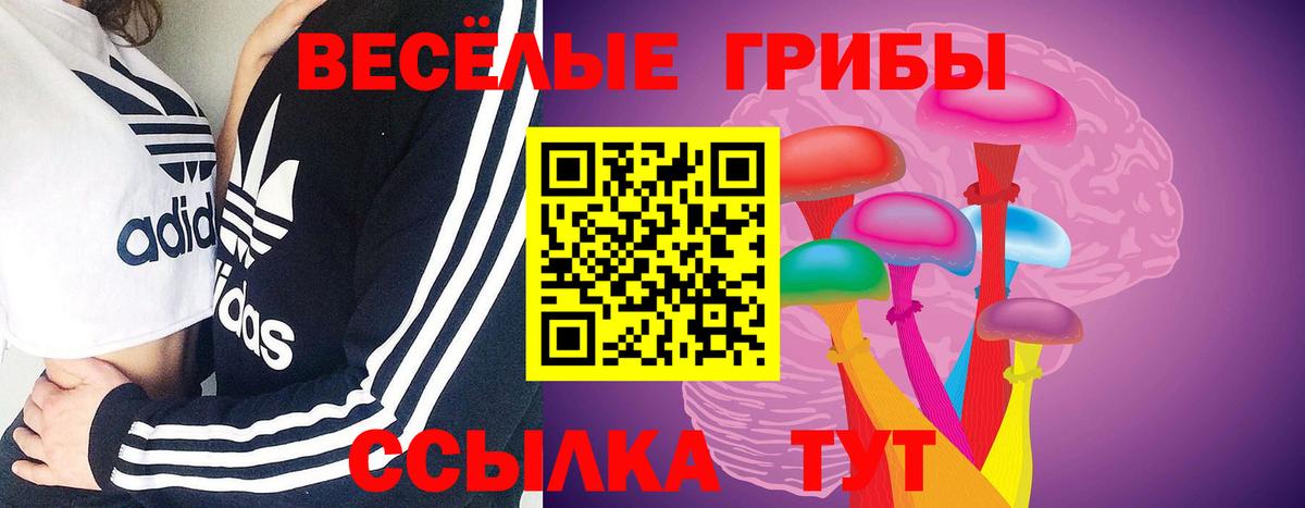 Люберцы  Псилоцибиновые грибы ЛСД  Галлюциногенные грибы Psilocybe  что такое   Вход с VPN 